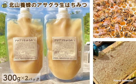 アサグラ生はちみつ（300g×2パック）やんばる東村産 はちみつ 蜂蜜 ハチミツ 生はちみつ 生ハチミツ 沖縄北部 やんばる ヤンバル 養蜂 完熟はちみつ みつばち 非加熱 自然 天然 結晶 蜜 みつ 農薬不使用 沖縄 東村 845543 - 沖縄県東村