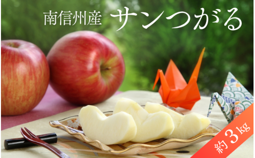 JA46-25A りんご サンつがる 約3kg / 2025年8月下旬～9月上旬ごろ配送予定 // 長野県 南信州 贈答 ギフト 新鮮 林檎 リンゴ サンツガル
