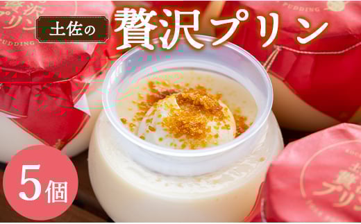 プリン 人気 土佐の贅沢プリン5個 - ぷりん スイーツ 食後 デザート おやつ お菓子 おかし 洋菓子 ティータイム 美味しい おいしい 甘い あまい たまご 香ばしい カラメル 菓子工房コンセルト 高知県 香南市 kn-0023
