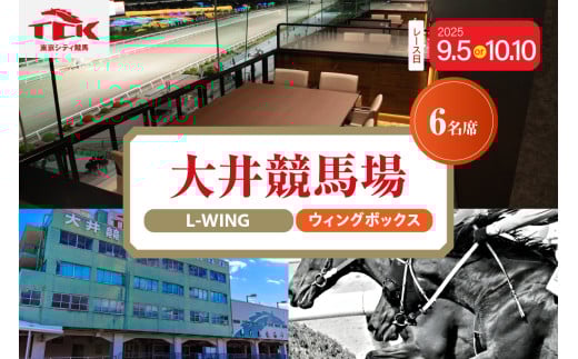 [選べる日付]大井競馬場指定席 L-WING4階ウイングボックス (6名席)