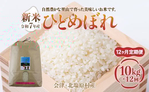 【先行予約/令和7年産 新米】【12ヶ月定