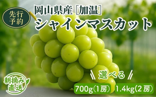 アイテムID:368951の画像1枚目