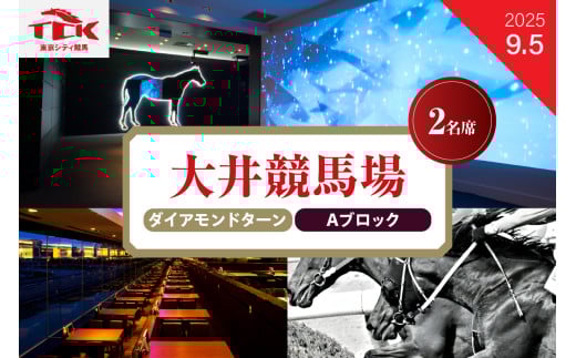 [2025年9月5日]大井競馬場指定席 ダイアモンドターン Aブロック (2名席)