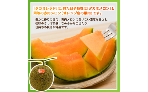 アイテムID:443784の画像2枚目