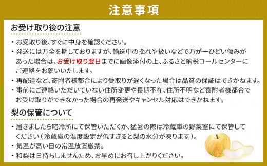 アイテムID:444107の画像3枚目