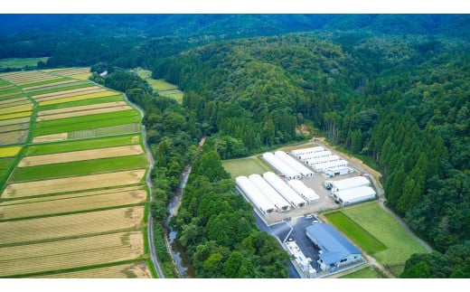 滋賀県高島市のふるさと納税 ◆【滋賀県高島市産】「近江鴨」　鴨鍋　つくね付き　２人前