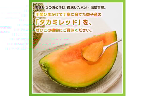 アイテムID:443784の画像5枚目