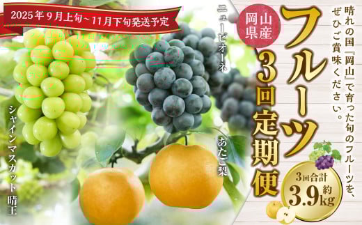 [3回定期便]岡山県産 フルーツ定期便コース (ニューピオーネ ・ 晴王 ・ あたご梨) [2025年9月上旬発送開始] / 3回 葡萄 ぶどう シャインマスカット マスカット 梨 なし 果物 果実 フルーツ 旬 定期便 岡山県 美咲町 冷蔵 常温