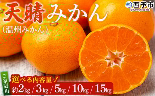 先行予約 愛媛県明浜産 天晴みかん(温州みかん)約2kg/3kg/5kg/10kg/15kg 家庭用 訳あり ワケアリ 自宅用 果物 くだもの フルーツ ミカン 柑橘 選べる 食べて応援 特産品 産地直送 愛媛県 西予市[常温]