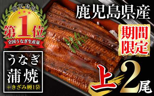【期間限定企画！】無投薬！鹿児島県産うなぎ蒲焼セット＜上＞(合計330g以上・ 140g以上×2尾+きざみ鰻50g) タレ・山椒付き  鰻 うなぎ 蒲焼 【西日本養鰻】A509