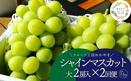 KF-T044【きよとうファーム】岡山のシャインマスカットを楽しむ満足2回便！特大２房×２回/全便計2.6kg~ (定期便)(岡山県産)