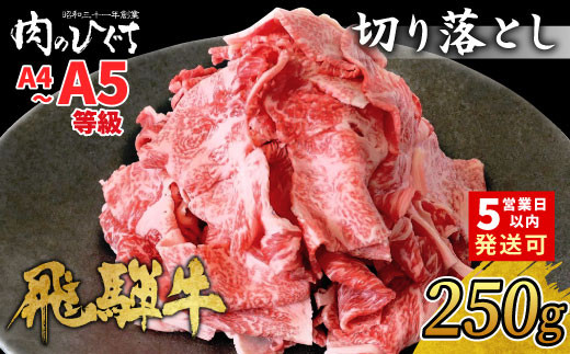 [10月発送] 飛騨牛 切り落とし 250g A5 A4 国産 牛 冷凍 お試し 和牛 牛肉 切落し 切り落し 訳あり 牛丼 すき焼き しゃぶしゃぶ 東白川村 岐阜 飛騨 贅沢 霜降り ロース バラ もも ウデ 肉のひぐち 5000円 五千円