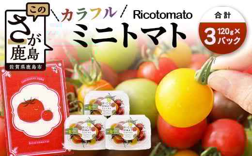 【先行予約】 カラフルミニトマト 【少量パック】 120gx3p　たにぐちファーム カラフルミニトマト 360g とりこになるトマト 野菜 とまと トマト リコピン 佐賀産 佐賀県 鹿島市　A-211