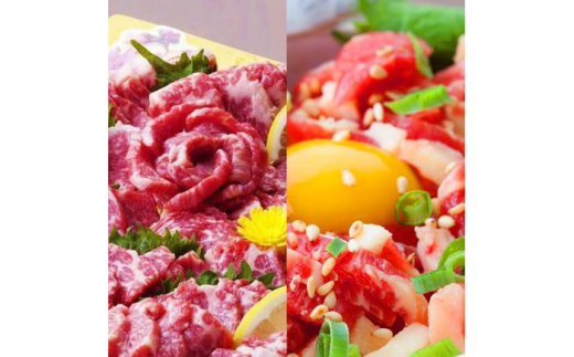 熊本 馬刺し 霜降り (大トロ) 約300g+ 馬肉ユッケ 約300g 合計約600g セット【くまもと食彩の力】 [AYAN010] 2120738 - 熊本県合志市
