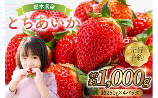  【先行予約】 栃木県産　とちあいか約250ｇ×4パック ns120-001【果物 いちご とちあいか オリジナル品種 甘味 香り 国産 ブランド フルーツ】 