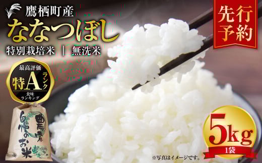 【令和7年産】 ななつぼし （無洗米） 特Aランク 5kg  米 白米 ごはん お米 5キロ 無洗米 北海道 鷹栖町 【2025年9月下旬より発送開始】
