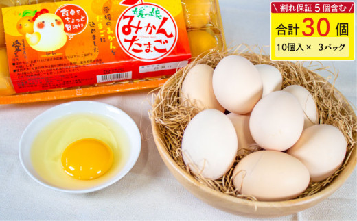 【2月発送】媛っ娘 みかんたまご 30個 ※割れ保証5個含む 卵 たまご タマゴ 玉子 卵料理 卵かけごはん TKG エッグ egg 松山 愛媛県
