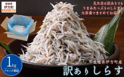 訳ありしらす 1kg  【 ふるさと納税 人気 おすすめ ランキング しらす シラス おかず ご飯 ご飯のお供 おにぎり 訳あり 愛媛県 伊方町 送料無料 】 IKTB016  2112195 - 愛媛県伊方町