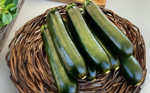 木島平産ズッキーニ 約2kg（太地農園） | 野菜 夏野菜 やさい ベジタブル vegetable  ズッキーニ ウリ科 カボチャ属 ラタトゥイユ 冷製 煮込み料理 焼き野菜 ゆで野菜 BBQ 2kg箱 木島平村 長野県 信州 北信州