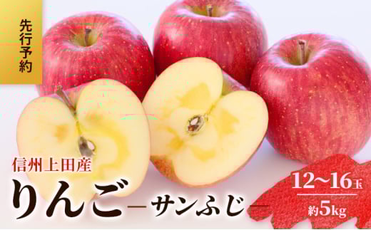 りんご 信州上田産 サンふじ 家庭用 約5kg 12～16玉 リンゴ 林檎 5kg サンフジ 果物 くだもの フルーツ デザート 旬の果物 旬のフルーツ 傷 長野県 長野 上田市[№5312-1371]
