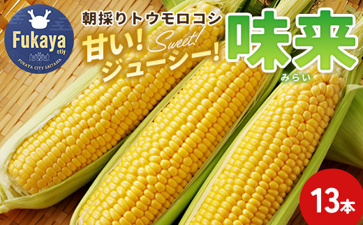 [先行予約]数量限定!JAふかや 朝採りとうもろこし「味来」 13本入り [11218-0457]
