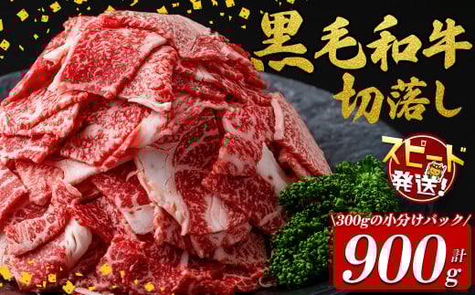 【10営業日以内に発送】国産黒毛和牛切落し計900g(300g×3P) 牛肉 牛 切り落とし 切落し 小間切れ 小分け 真空パック 牛丼 カレー 肉じゃが 真空パック 黒毛和牛 すぐ届く 短納期 a2-107-10d 425713 - 鹿児島県志布志市