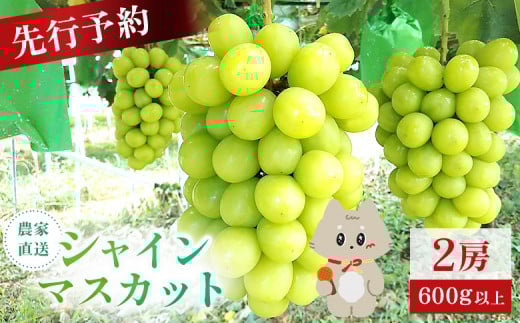 【2025年先行予約】　《2025年10月上旬～11月下旬出荷》 宮城県丸森町産 シャインマスカット　2房(1房 600g以上)　【48003】 2120876 - 宮城県丸森町
