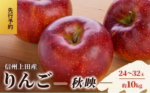 りんご 信州上田産 秋映 家庭用 約10kg 24～32玉 リンゴ 林檎 10kg 果物 くだもの フルーツ デザート 旬の果物 旬のフルーツ 傷 長野県 長野 上田市[№5312-1369]