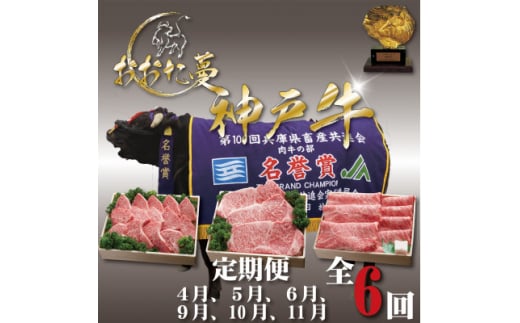＜発送月固定定期便＞A5 おおた蔓 神戸牛(神戸ビーフ)　それは選ばれし希少な一頭全6回【4067239】