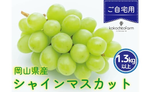 koko-02　ここちとふぁーむ　【ご自宅用】　岡山県産　シャインマスカット　2～3房　1.3kg以上 1074028 - 岡山県真庭市
