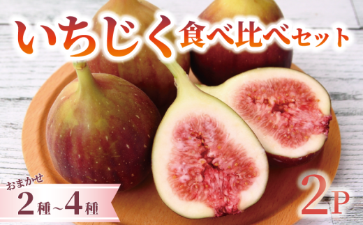 【訳あり】 先行予約 いちじく 無花果 おまかせ 2種～4種 食べ比べ 2パック 詰め合わせ 訳あり 秀品 日本いちじく 黒いちじく 数量限定 旬 果物 くだもの 人気 フルーツ 秋 ジャム お取り寄せ 農家直送 冷蔵 新潟県 新発田市 ほんのり農園 honnori003