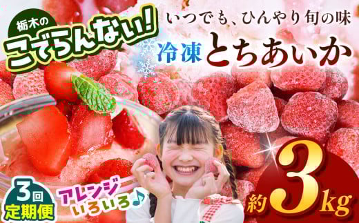 【定期便3回】栃木のこでらんない冷凍イチゴ（とちあいか） 約3kg ｜いちご イチゴ 果物 フルーツ 苺 甘い 美味しい とちあいか 大粒 ジューシー 映え 産地直送 栃木県 真岡市 朝摘み 酸味が少ない 冷凍いちご 日本一