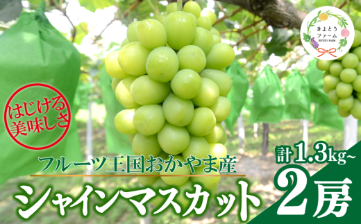 KF-B014【きよとうファーム】シャインマスカット 特大２房入/計1.3kg~ (岡山県産) 547229 - 岡山県真庭市