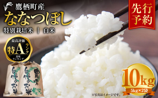 【令和7年産】 ななつぼし （白米） 特Aランク  5kg×2袋 米 白米 精白米 ごはん 北海道 鷹栖町 【2025年9月下旬より発送開始】 