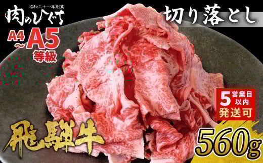 【10月発送】飛騨牛 切り落とし 560g A5 A4 国産 牛 冷凍 お試し 和牛 牛肉 切落し 切り落し 薄切り 訳あり 牛丼 すき焼き しゃぶしゃぶ 東白川村 岐阜 飛騨 贅沢 霜降り ロース バラ もも ウデ 肉のひぐち 10000円 一万円 2023611 - 岐阜県東白川村