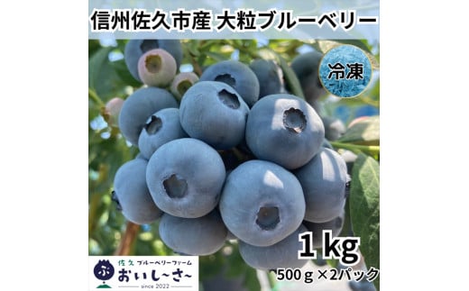 長野県産 冷凍ブルーベリー 約1kg （500g×2袋） ＜2025年7～12月出荷／沖縄・離島は配送不可＞信州 フルーツ 果物 完熟 大粒 甘い 数量限定　旬彩【 ブルーベリー 長野県 佐久市 旬彩 】