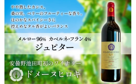 ジュピター 750ml 1本 [ ヴィニョブル安曇野(ドメーヌ・ヒロキ) 長野県 池田町 48110811] ワイン 赤 赤ワイン 608490 - 長野県池田町