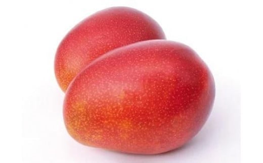 ★【2025年発送】＜訳あり・ご家庭用＞完熟アップルマンゴー約2kg（白箱）3玉～7玉
