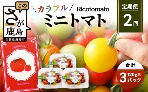 【2回定期便】【先行予約】 カラフルミニトマト 【少量パック】120gx3p　たにぐちファーム カラフルミニトマト 360g とりこになるトマト 野菜 とまと トマト リコピン 佐賀産 佐賀県 鹿島市　C-147