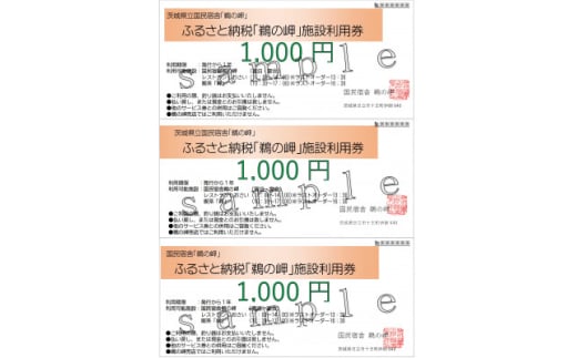 国民宿舎宿泊利用率NO.1「鵜の岬」館内利用券1,000円×3【1606374】