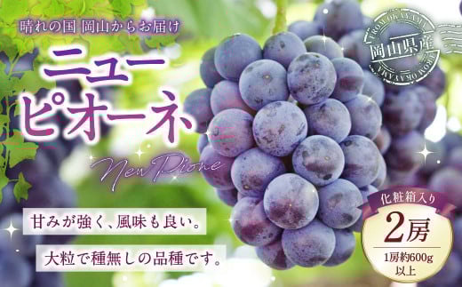 岡山県産 ニューピオーネ 2房 （1房600g以上） 化粧箱入り 【2025年8月下旬～10月上旬発送予定】 ／ 葡萄 ぶどう 果物 果実 フルーツ 種なし 岡山県 美咲町 冷蔵