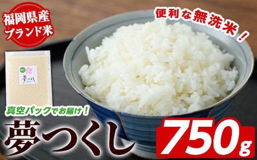 ＜無洗米・真空パック＞夢つくし(750g) 無洗米 真空パック 米 お米 白米 ごはん ご飯 常温 福岡県産 小分け ブランド米 福岡県産 5合 ローリングストック キャンプ アウトドア ストック 防災グッズ 常温保存 おにぎり お弁当 ライス 【朝ごはん本舗】as05-137