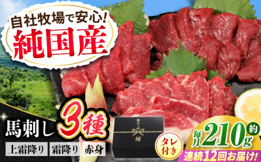 【全12回定期便】『純国産』熊本の味 馬刺し お試し 3種 セット 計約210g（2〜3人前）上霜降り 霜降り 赤身 タレ付 馬さし 馬肉 おためし 熊本 合志 おろし生姜付き 冷凍 定期【有限会社 九州食肉産業】 [AYCN072]