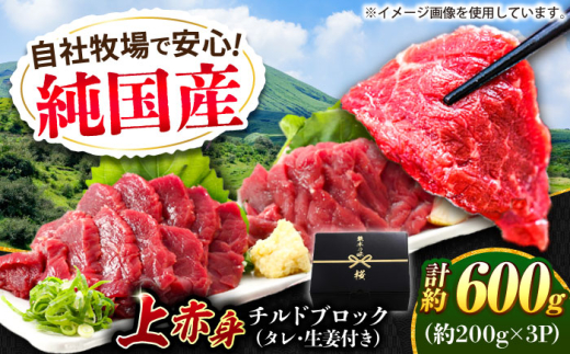 『純国産』熊本の味 上赤身 馬刺し 計約600g（約200g×3パック）ブロック チルド 冷蔵 タレ付き 【有限会社 九州食肉産業】 [AYCN034] 2120788 - 熊本県合志市