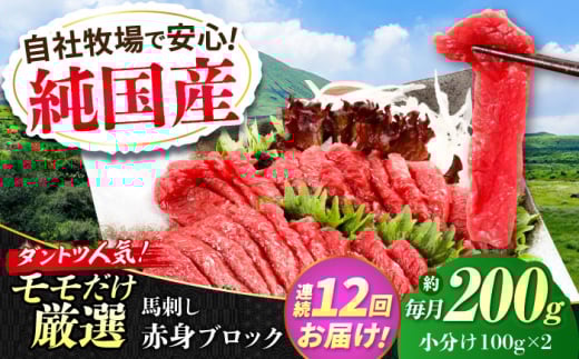 【全12回定期便】『純国産』熊本の味 赤身 馬刺し 約200g ブロック 冷凍 タレ付き【有限会社 九州食肉産業】 [AYCN111] 2120816 - 熊本県合志市