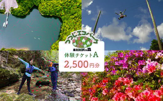 つつじエコパーク　体験チケットA【2500円分】 やんばる ヤンバル 本島北部 体験 アクティビティ 自然 家族 ファミリー 友達 仲間 カヌー ダム ダム湖 子ども 子供 遊具 公園 探検 沖縄 東村 2120840 - 沖縄県東村