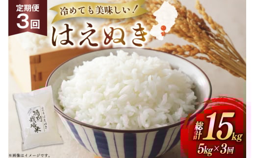 米 定期便 3回 令和7年 はえぬき 5kg 3回 計15kg [渡部ファーム 山形県 高畠町 tk06ays810041] お米 白米 精米 ごはん ご飯 ブランド米 2135473 - 山形県高畠町