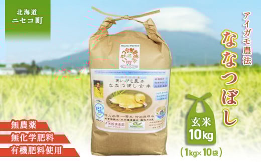《数量限定先行受付！令和7年産米》合鴨農法ななつぼし 【玄米】【有機肥料/無農薬・無化学肥料･備蓄用】 令和7年度米　10kg(1kg×10袋)　水田環境鑑定米・米食味鑑定米【Yesclean農法認定品】【3114002】 1508753 - 北海道ニセコ町