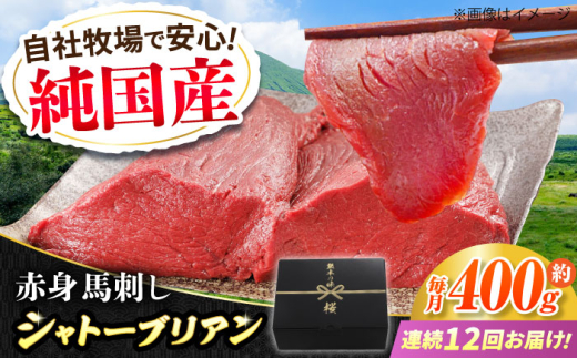 【全12回定期便】『純国産』熊本の味 赤身 馬刺し シャトーブリアン 計約400g（約200g×2パック）チルド 冷蔵 ブロック【有限会社 九州食肉産業】　馬刺 馬肉 桜肉 馬 うま ウマ ヘルシー 国産 新鮮 専用タレ 上質 低カロリー 高タンパク 冷凍 生食 生肉 専用醤油付 専用 醤油 専用タレ付 タレ ギフト 贈答用 食品 熊本県 合志 合志市 [AYCN067]