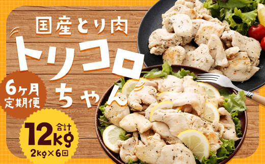 【全6回定期便】国産 鶏肉 トリコロちゃん 計2kg (500g×4パック) ／ バジルペッパー レモンペッパー ソテー用 鶏胸肉 お肉 ソース 肉のマルシン 長崎県 長崎市 1497859 - 長崎県長崎市